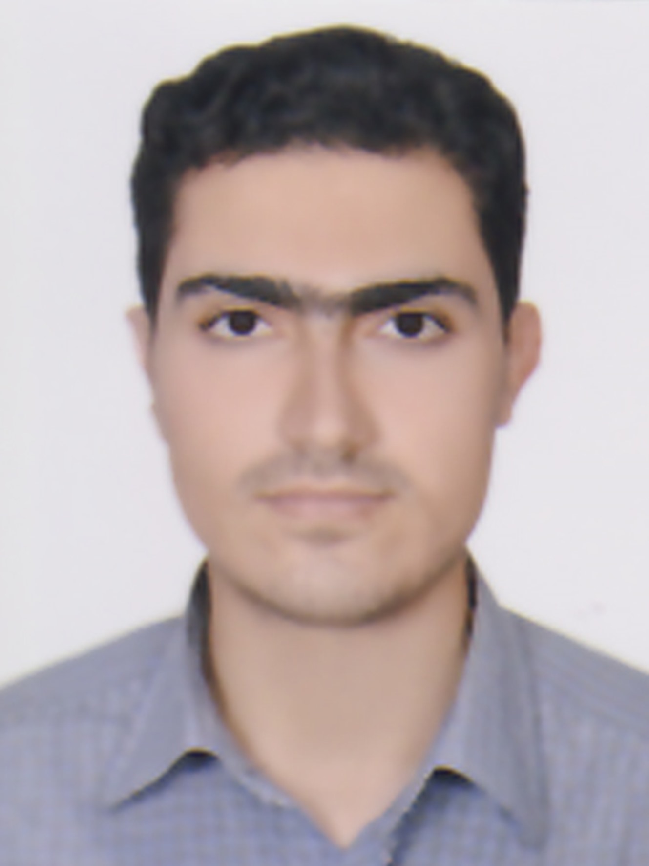 داود محمودی